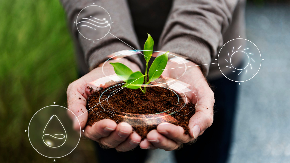 Mãos segurando um bocado de terra, com uma planta a nascer desta terra. Há desenhos por cima da imagem, representando sol, vento e uma gota d'água.