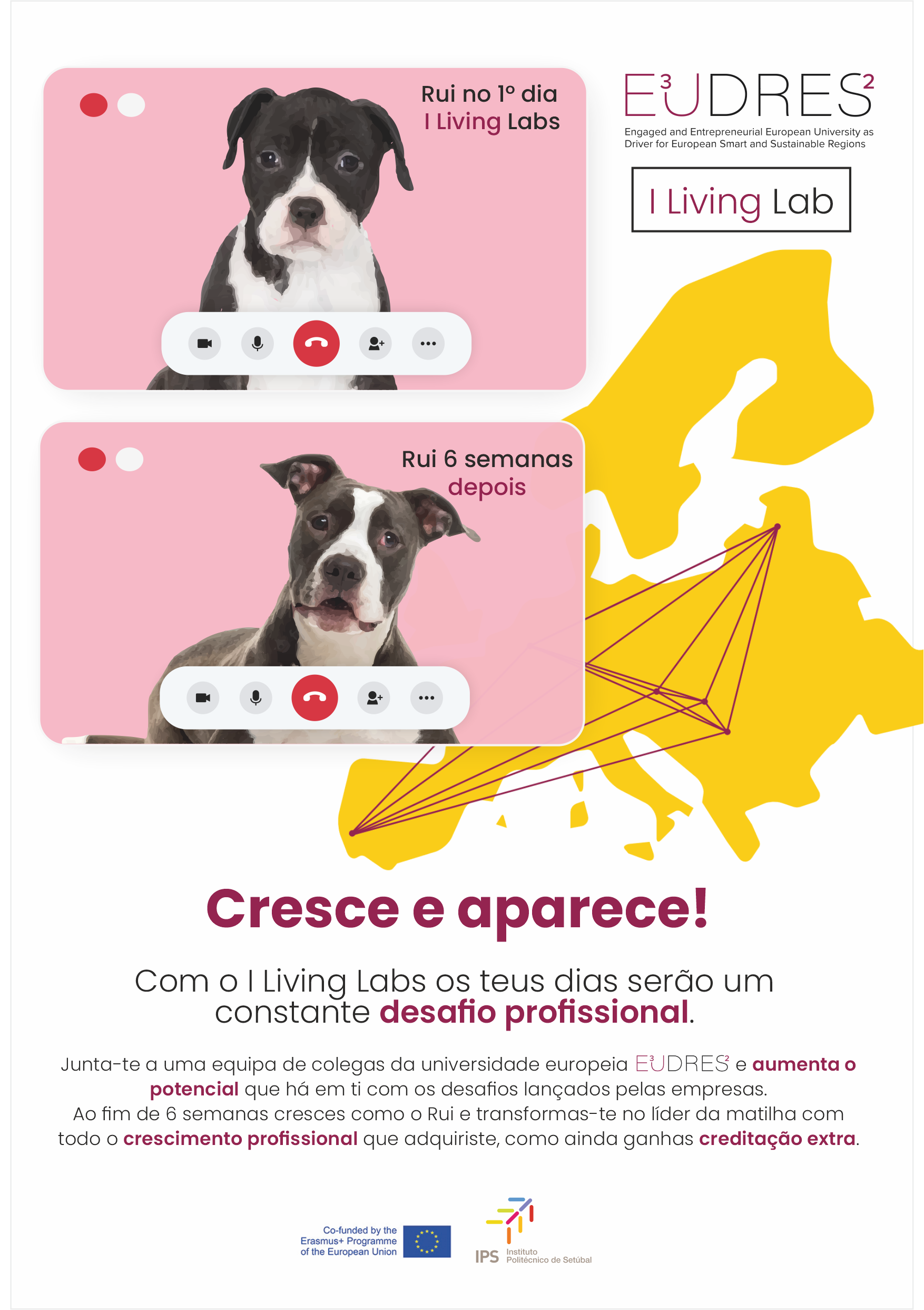 Imprensa_flyer