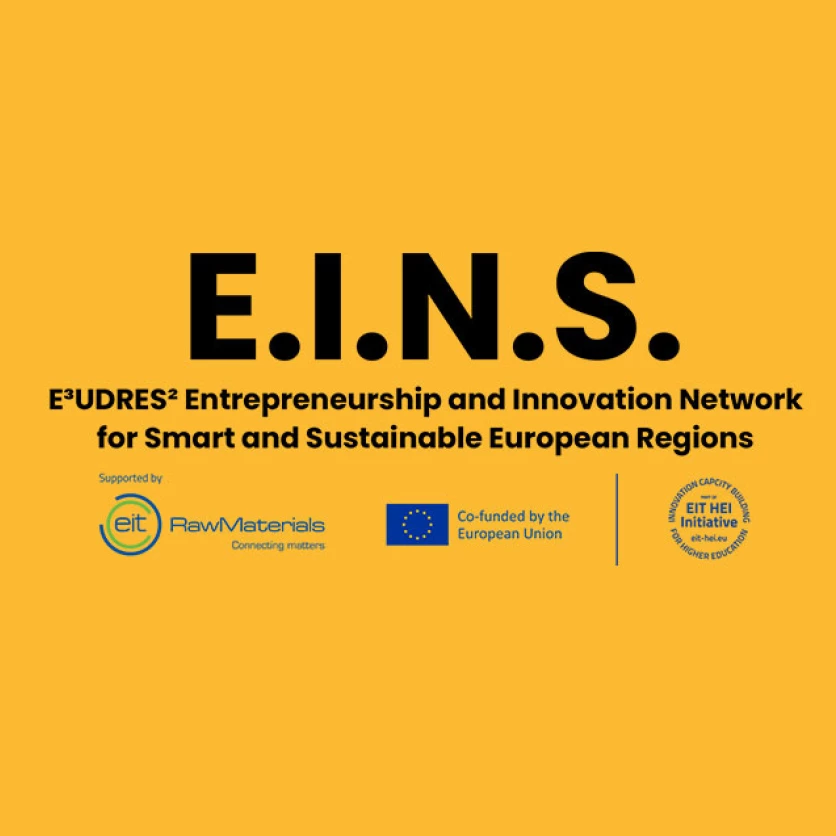Logo do projeto E.I.N.S.