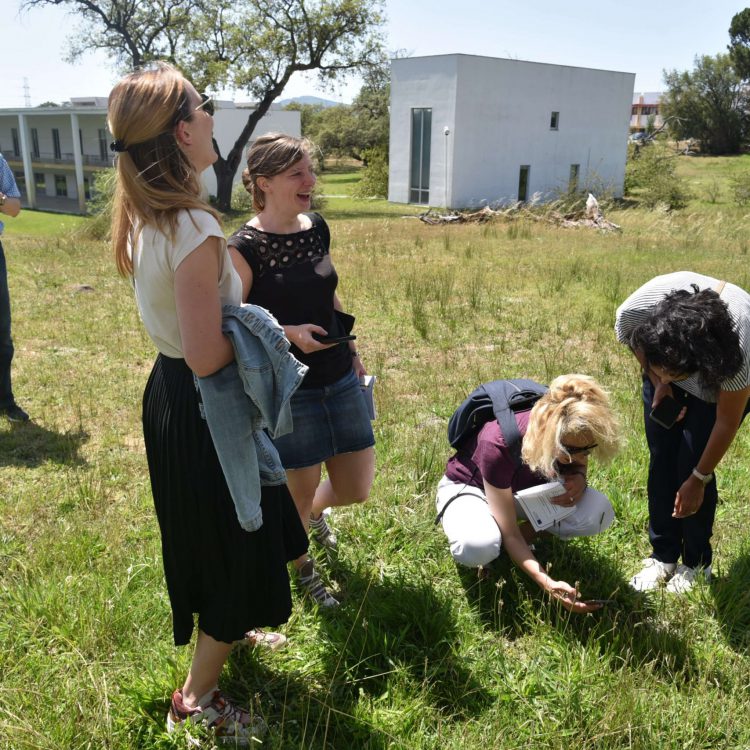 Participantes do evento examinam espécies o campus do Politécnico de Setúbal